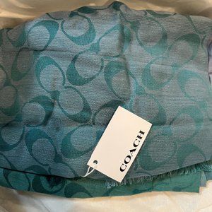 Ombre Blue Coach Silk Scarf